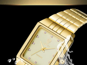 golden watch vintage watch for men luxury watches mens fashion daniel wellington