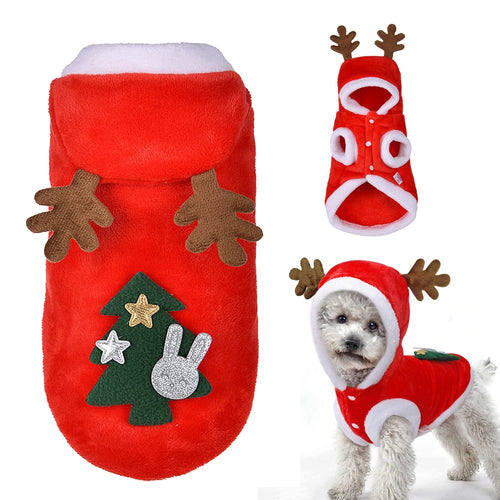 Reindeer Outfit