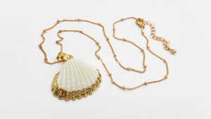 Gold Dipped Scallop Shells