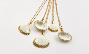 Gold Dipped Scallop Shells