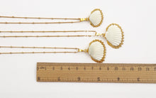 Load image into Gallery viewer, Gold Dipped Scallop Shells