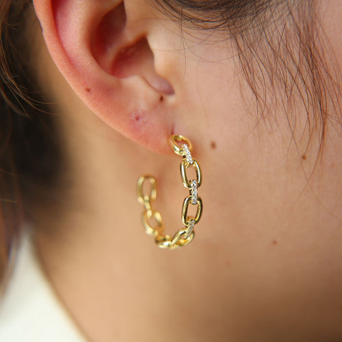 Link Chain Earrings